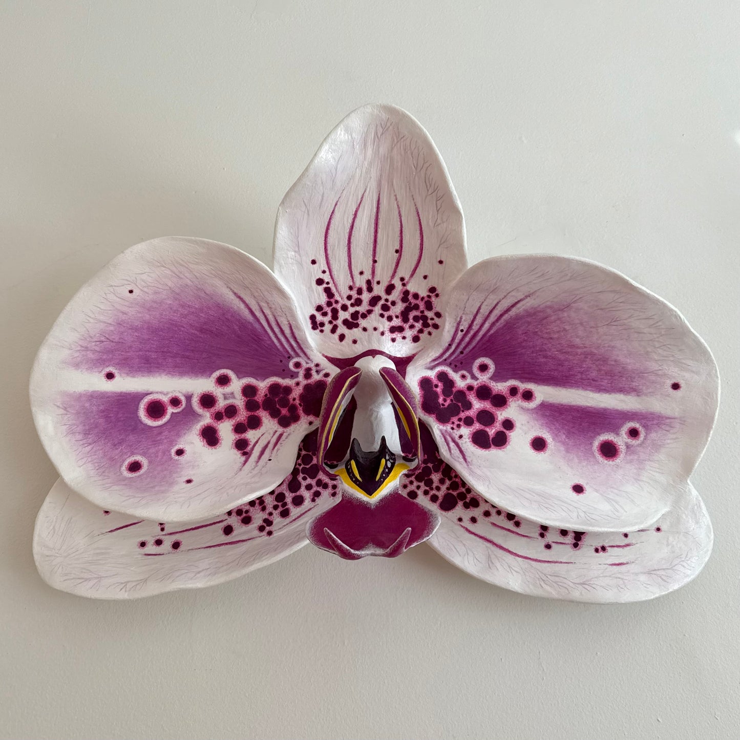 vivid elegance orchid