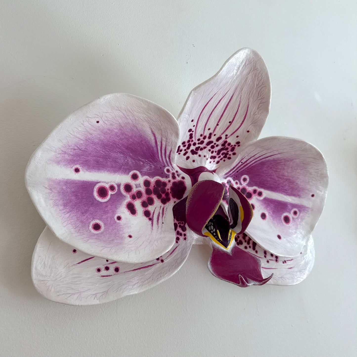 vivid elegance orchid