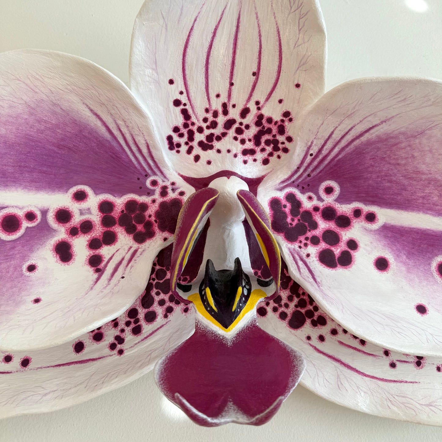 vivid elegance orchid