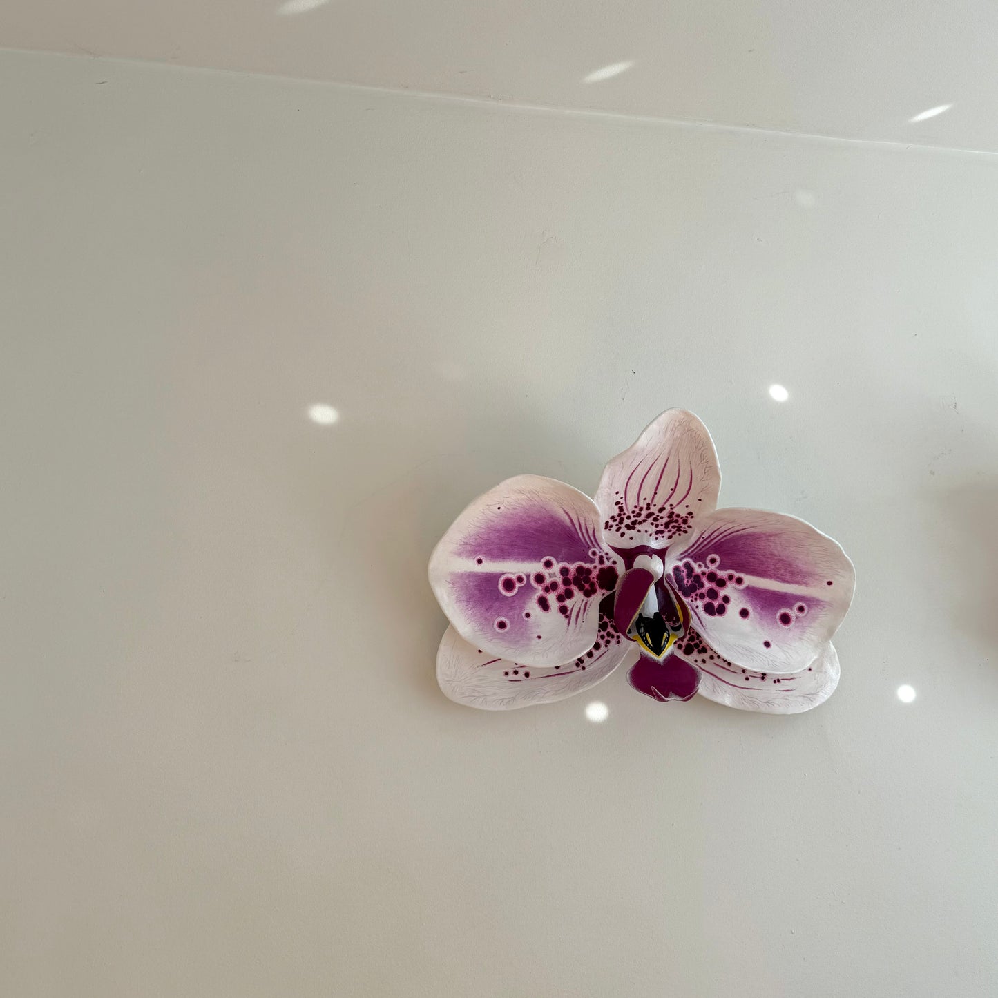 vivid elegance orchid
