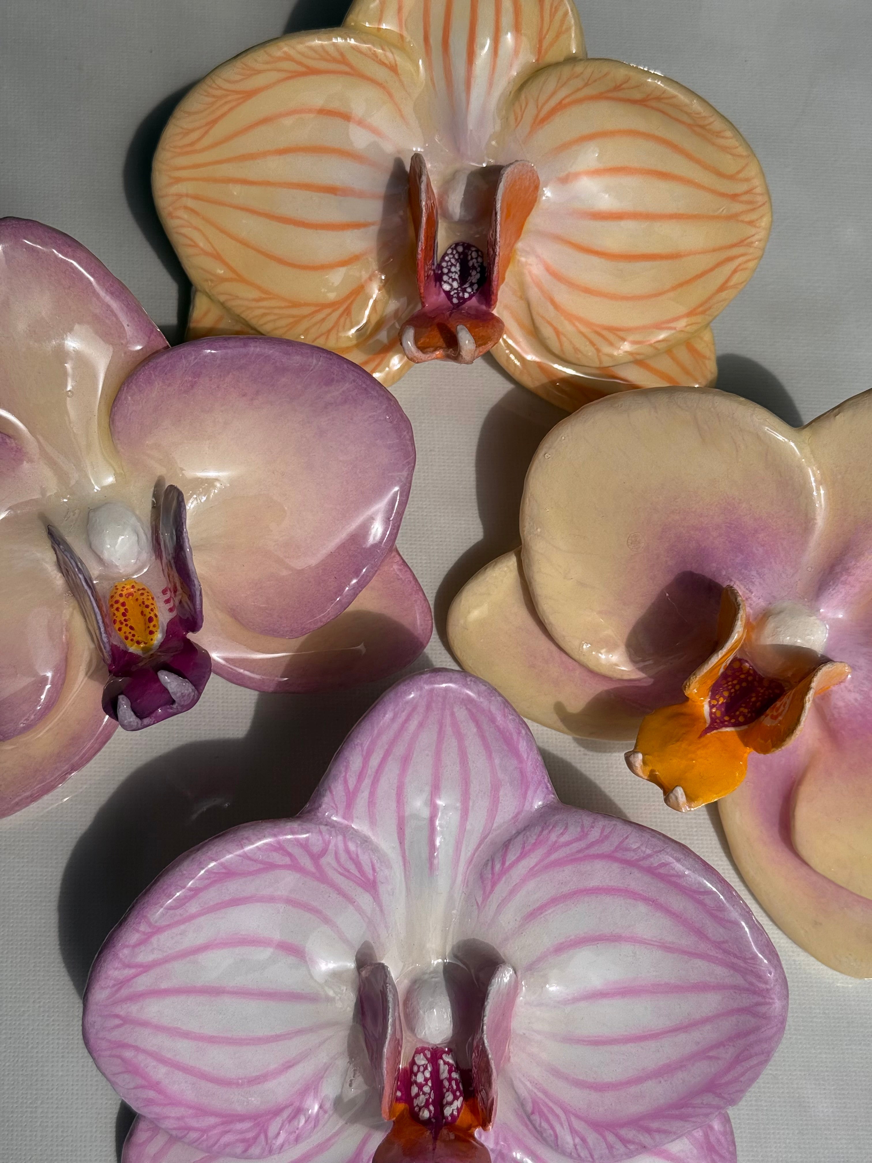 ORCHIDS