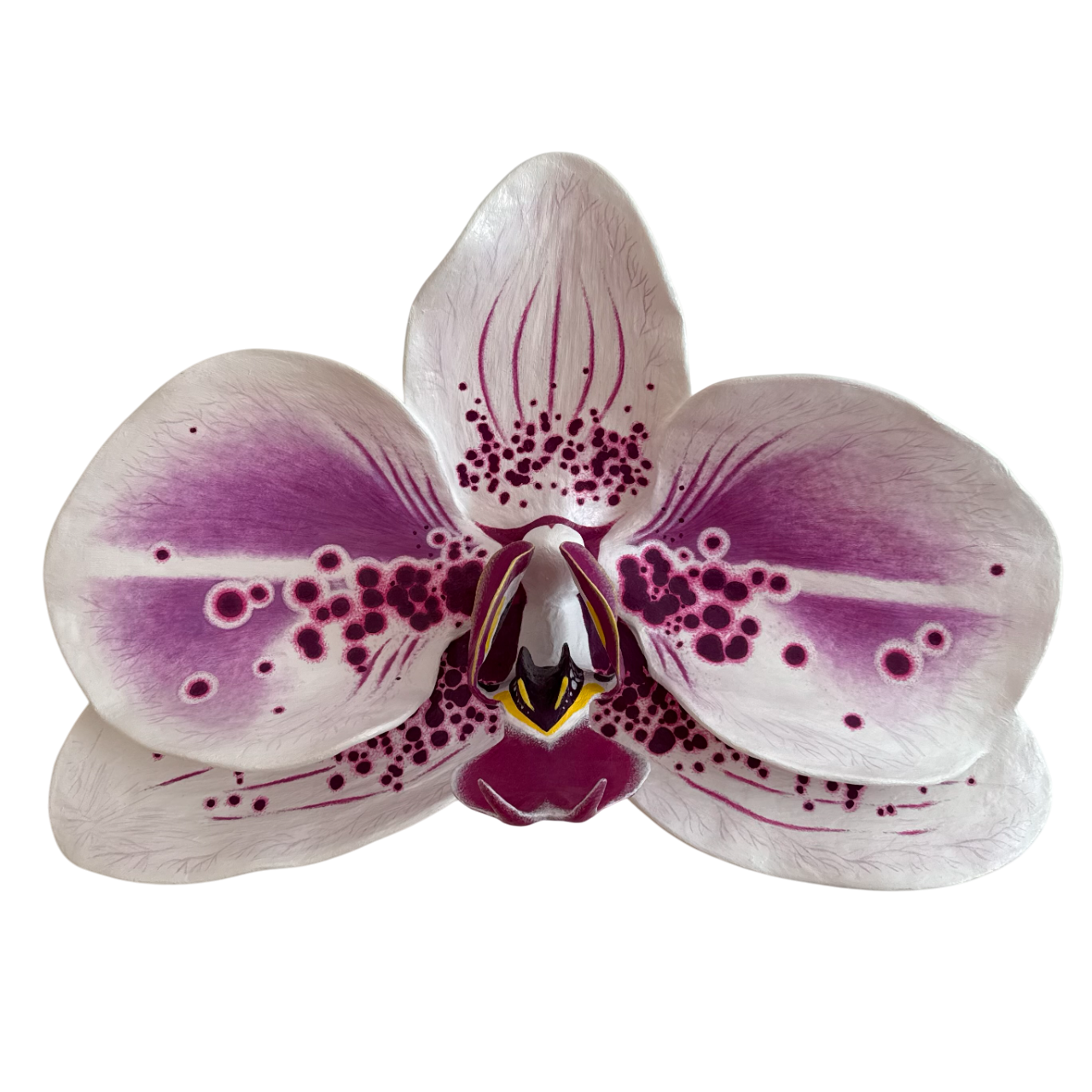 vivid elegance