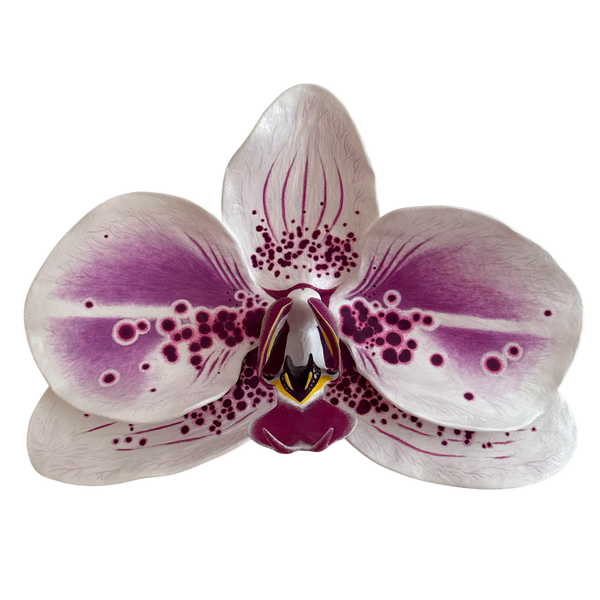 vivid elegance