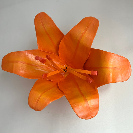 orange lily