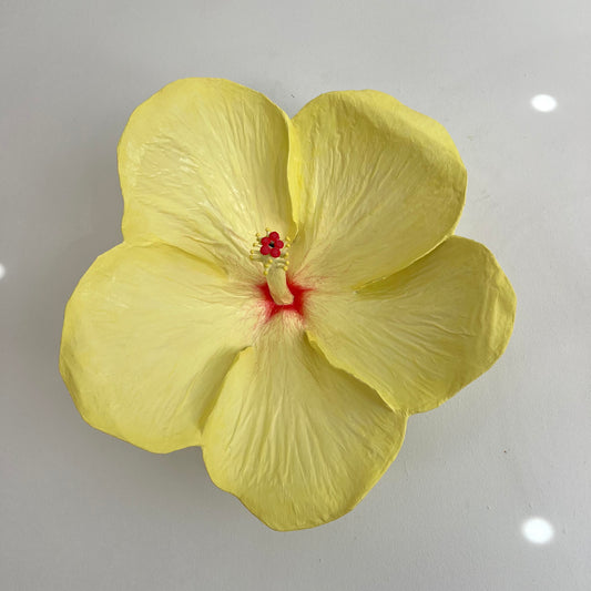 yellow hibiscus