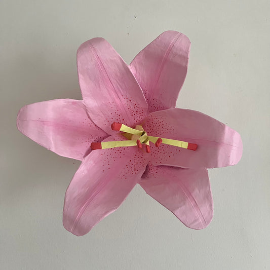 pink lily