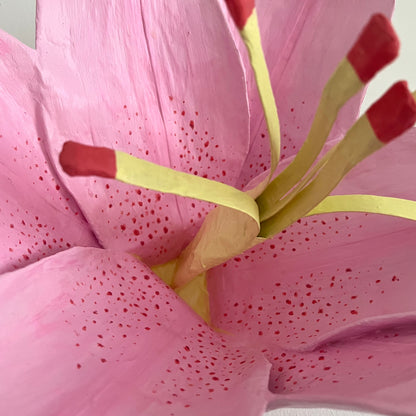 pink lily