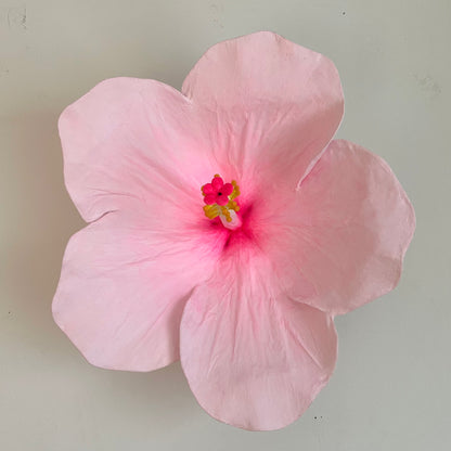 pink hibiscus