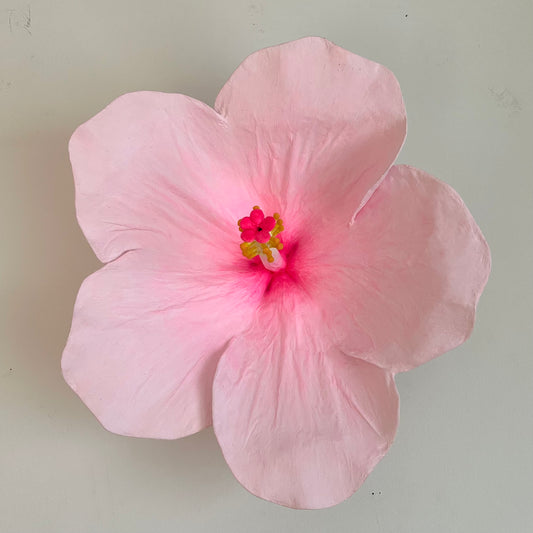 pink hibiscus